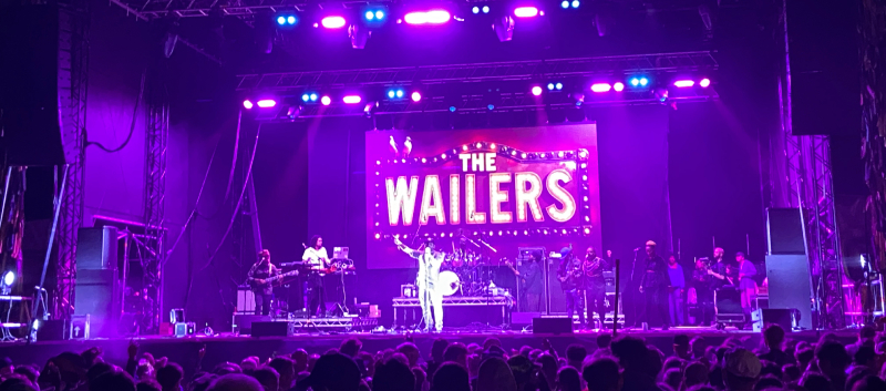 stowaway-thewailers